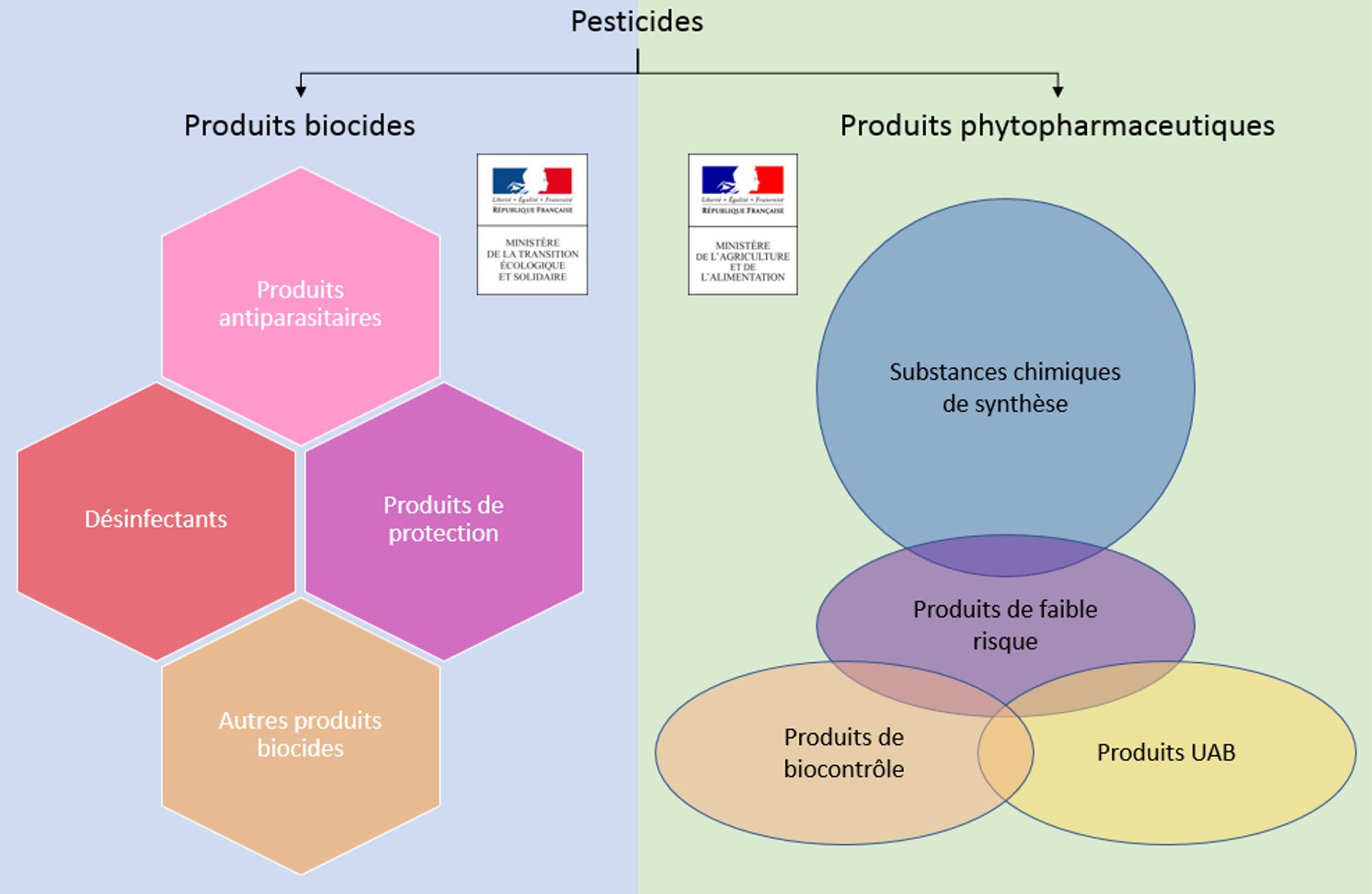 Classification et réglementation des produits biocides : tout savoir